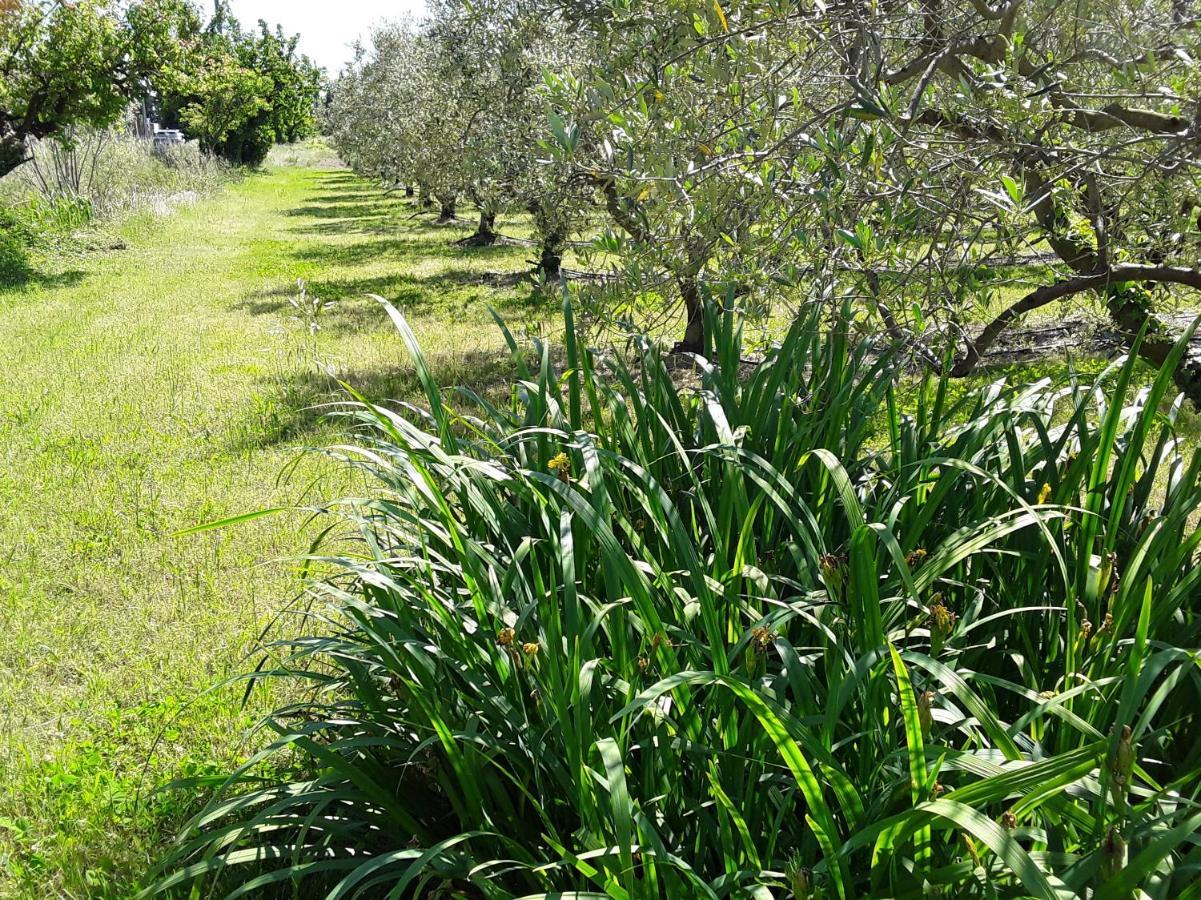 La Bonbonne En Provence Villa Travaillan ภายนอก รูปภาพ
